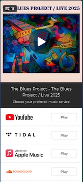 remedy-thebluesproject-widget.